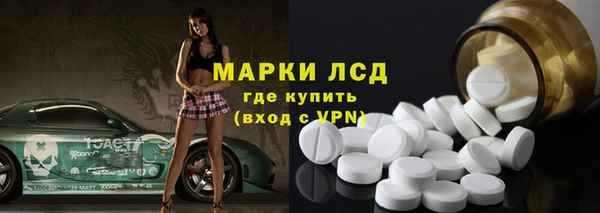 гидра Зуевка